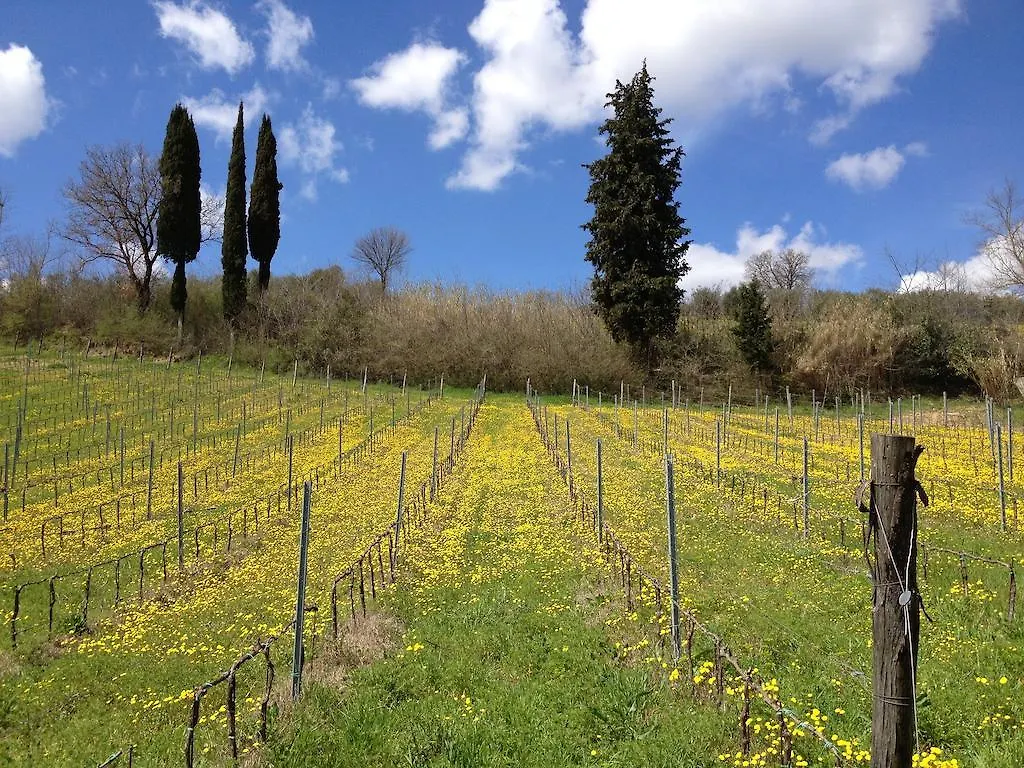 Villa Casa Del Colombaio San Gimignano